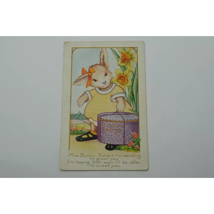 Vintage Postcard - Happy Easter - Miss Bunny Rabbit - Early 1900's