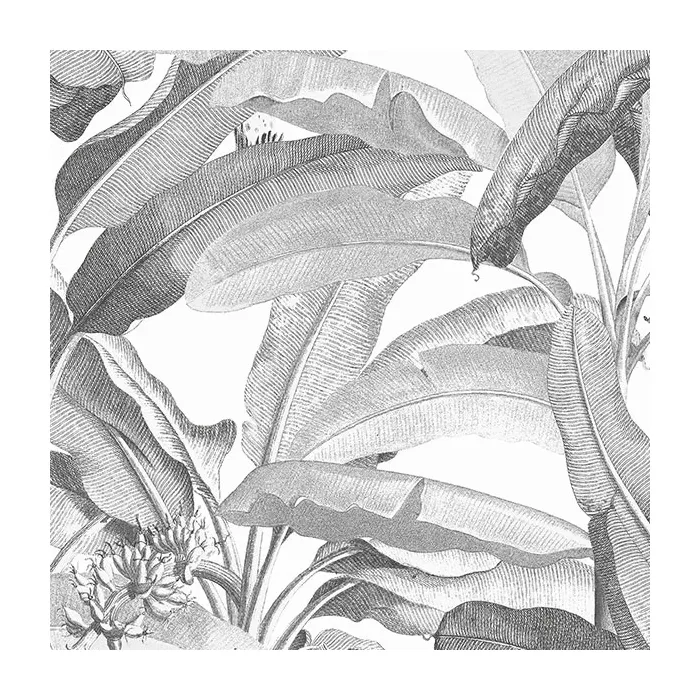 Polynesian Leaves Wallpaper Black and white Norwall Wallcovering MH36533