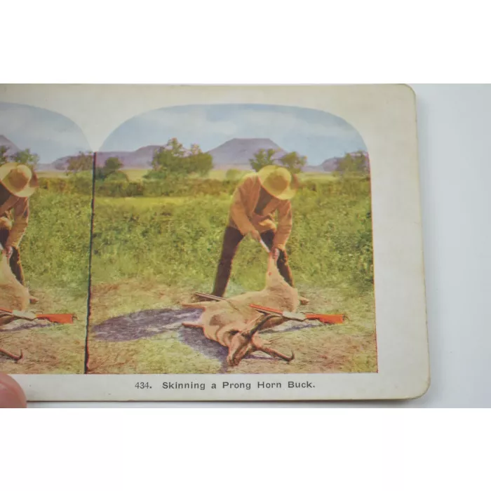 Antique Stereoview - No. 434 - Skinning A Prong Horn Buck