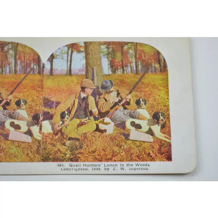 Stereoview By T. W. Ingersoll - No. 464 - Quail Hunters' Lunch In The Woods - Antique 1899