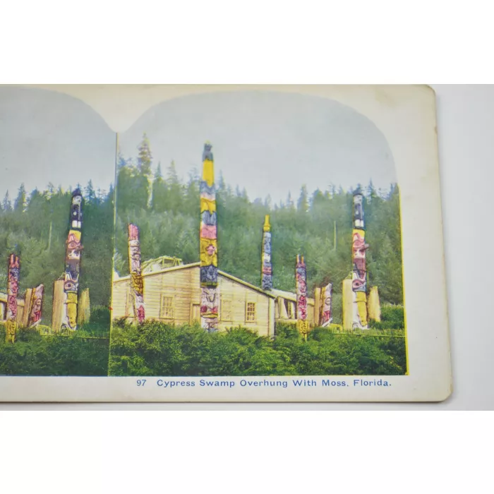 Antique Stereoview - No. 97 - Cypress Swamp Overhung With Moss, Florida