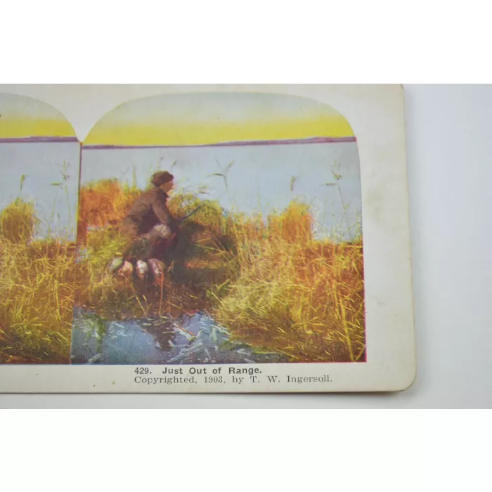 Stereoview By T. W. Ingersoll - No. 429 - Just Out Of Range - Antique 1903