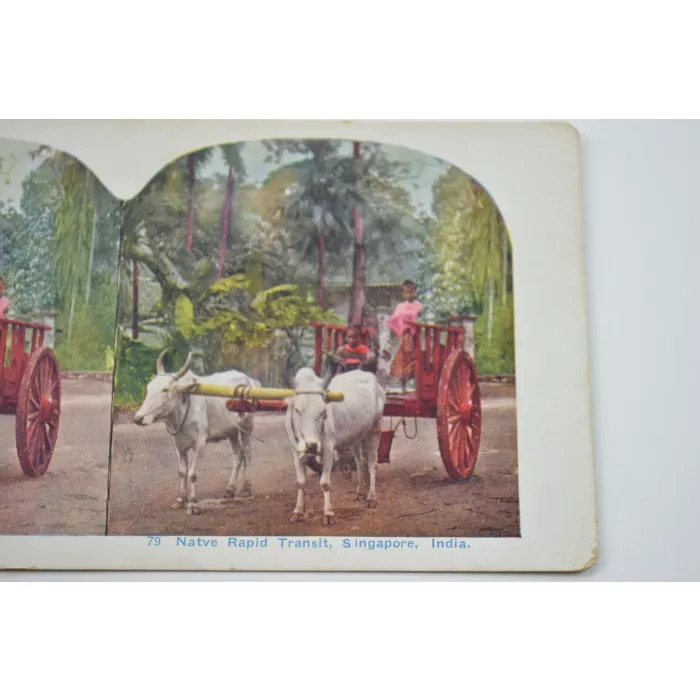 Antique Stereoview - No. 79 - Native Rapid Transit, Singapore, India