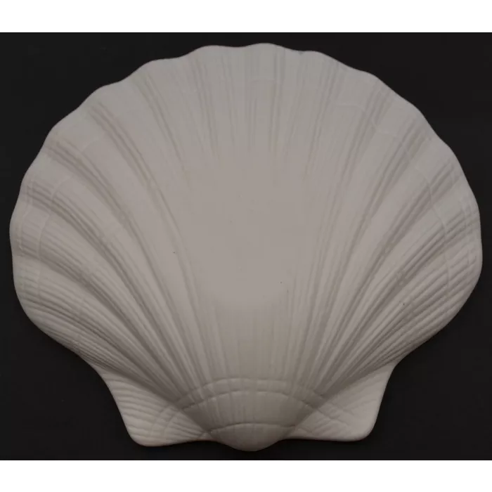 Scallop Shell Shaped Dish - White & Light Blue - Ceramic