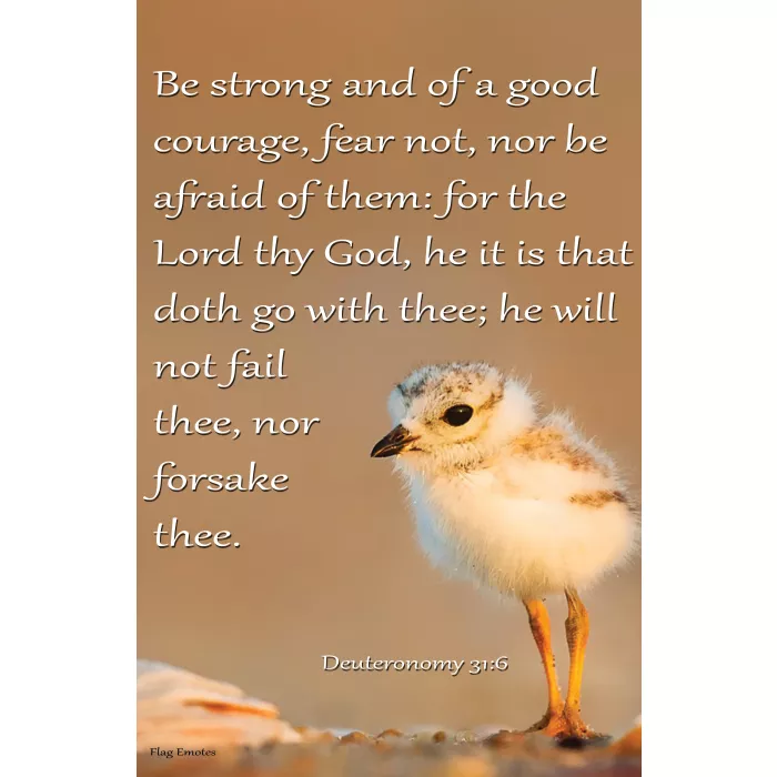 Flag Emotes - Double Sided Garden Flag - Deuteronomy 31:6 Be Strong