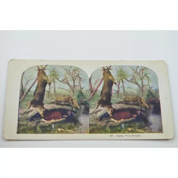 Antique Stereoview - No. 491 - Camp Fire Dreams