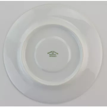 Johann Haviland - Forever Spring Pattern - Footed Cup Saucer