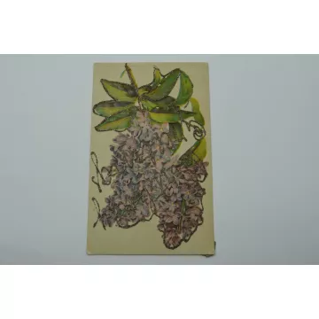 Vintage Postcard - Birthday Greetings - Early 1900's