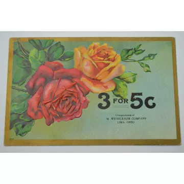 Vintage Postcard - 3 For 5 C - Early 1900's