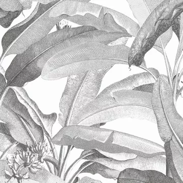 Polynesian Leaves Wallpaper Black and white Norwall Wallcovering MH36533
