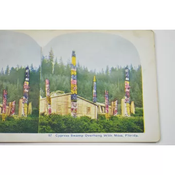 Antique Stereoview - No. 97 - Cypress Swamp Overhung With Moss, Florida