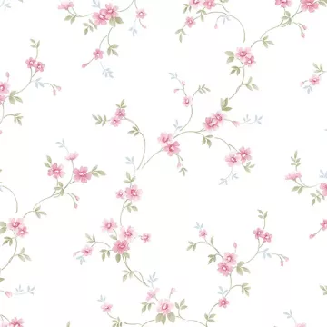 PR33838 Como Trail Wallpaper Pink, Green, Blue Floral Prints 2 Norwall Wallcovering