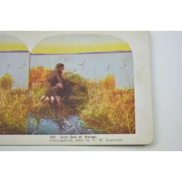 Stereoview By T. W. Ingersoll - No. 429 - Just Out Of Range - Antique 1903