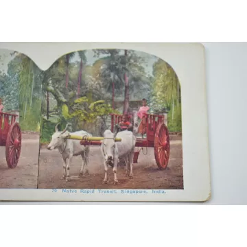 Antique Stereoview - No. 79 - Native Rapid Transit, Singapore, India