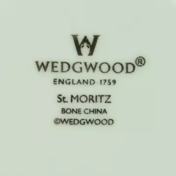 Wedgwood China - St. Moritz Pattern - Footed Cup Saucer