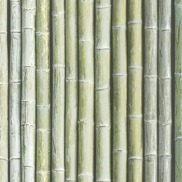 Bamboo Wallpaper Green, Light Moss, Wasabi, Sage Norwall Wallcovering G67941
