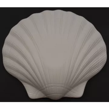 Scallop Shell Shaped Dish - White & Light Blue - Ceramic